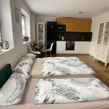 Bodensee Oase 公寓